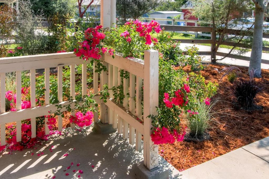 Serene Bungalow-Style Home In Point Reyes Station! Екстер'єр фото